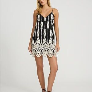 Embroidered V-Neck Sleeveless Mini Shift Party Dress